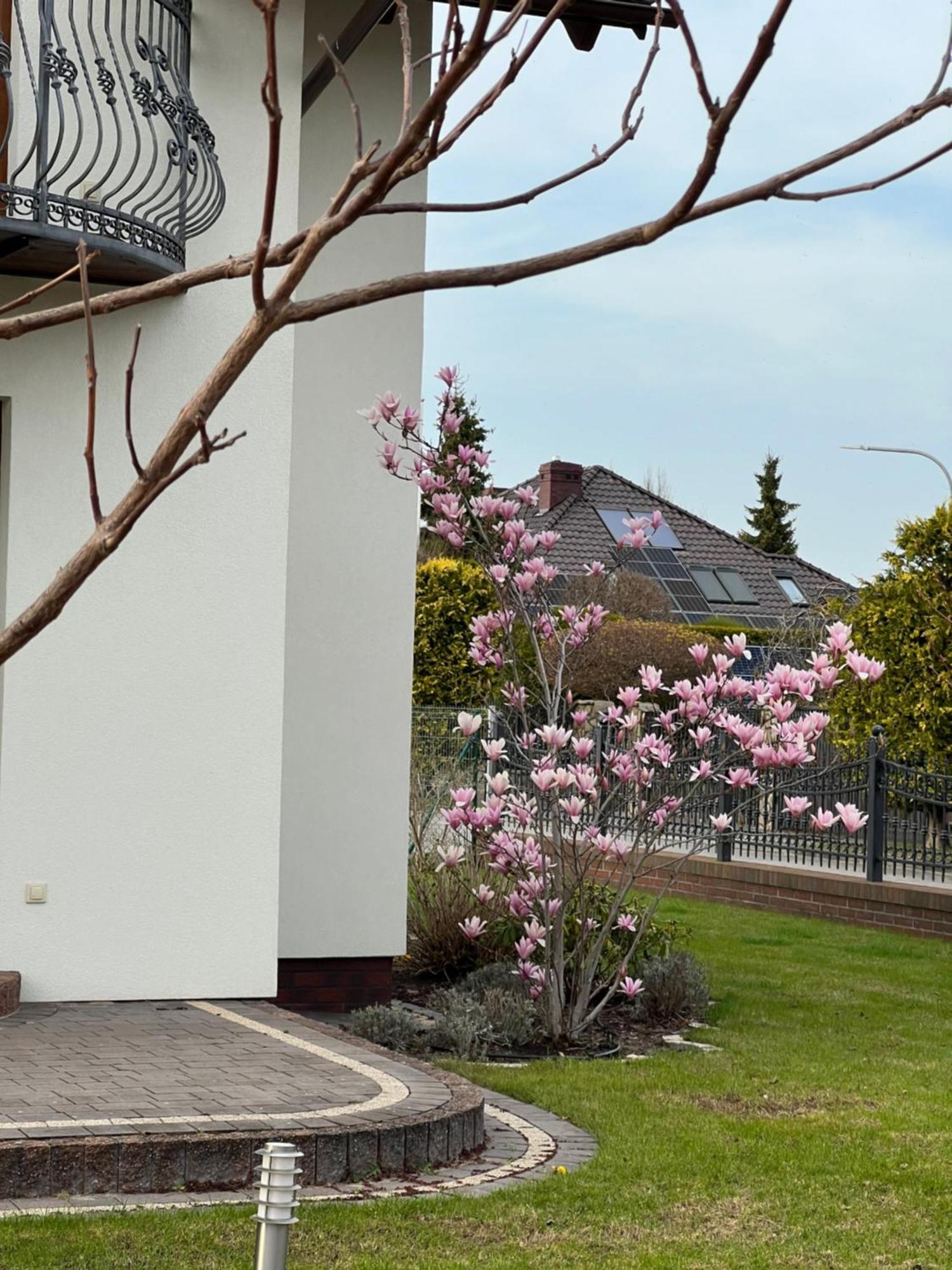 Apartamenty Bursztynowe Dębki Dış mekan fotoğraf